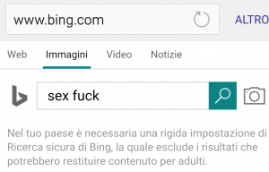motore di ricerca per adulti