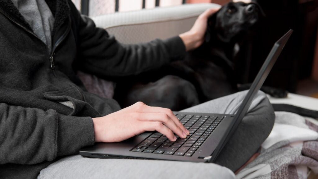 DNS blocking of adult contents: the solution for safe internet use